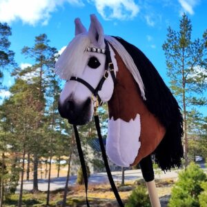 a4 a3 size handmade hobby horse 8