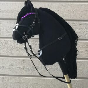 black hobbyhorse and mexican bridle 1