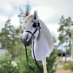 American Paint Hobby Horse With Medicine Hat Style