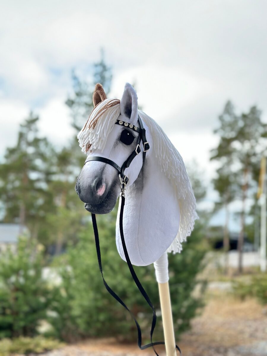 American Paint Hobby Horse With Medicine Hat Style
