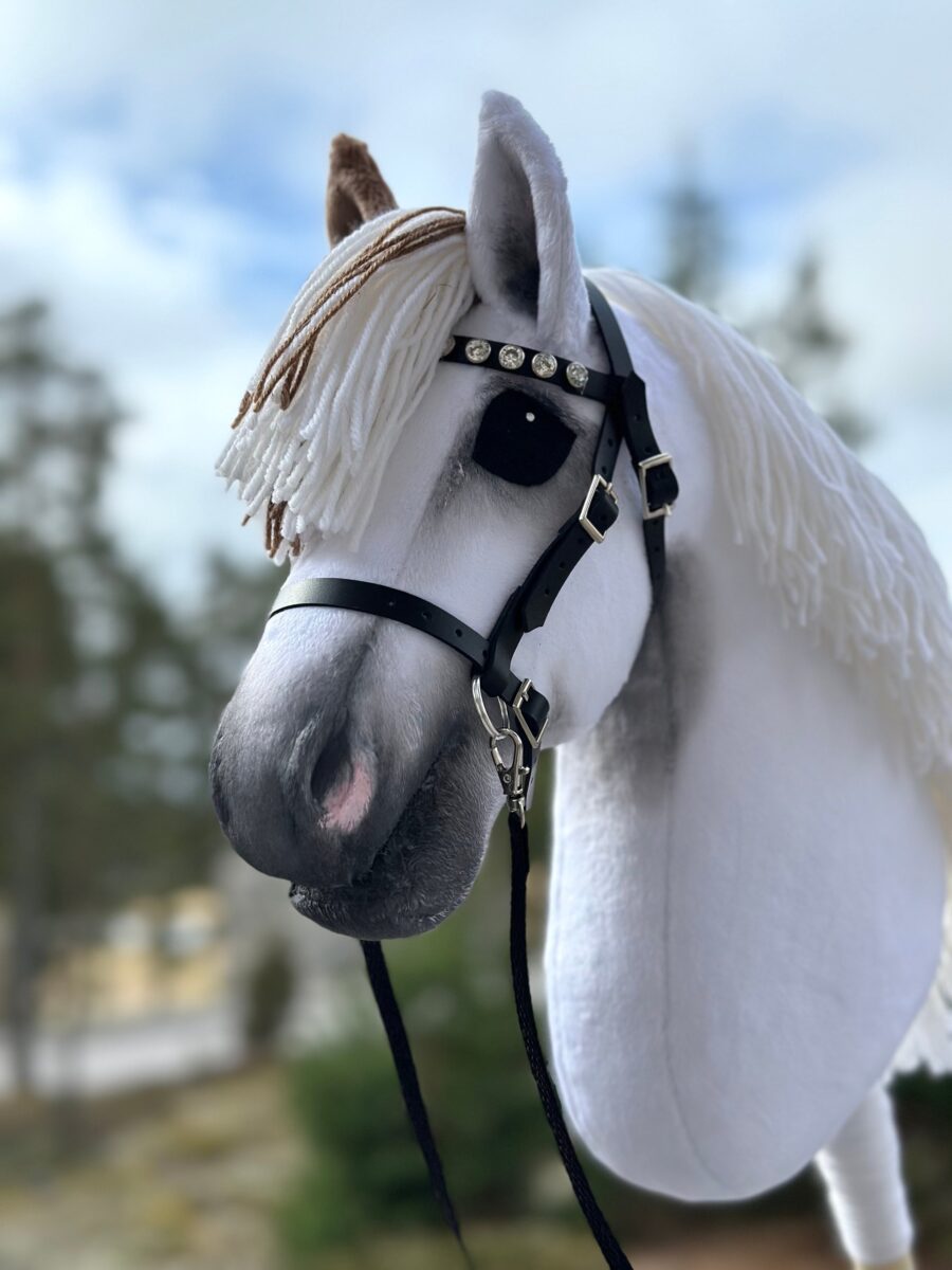 American Paint Hobby Horse With Medicine Hat Style - Image 3