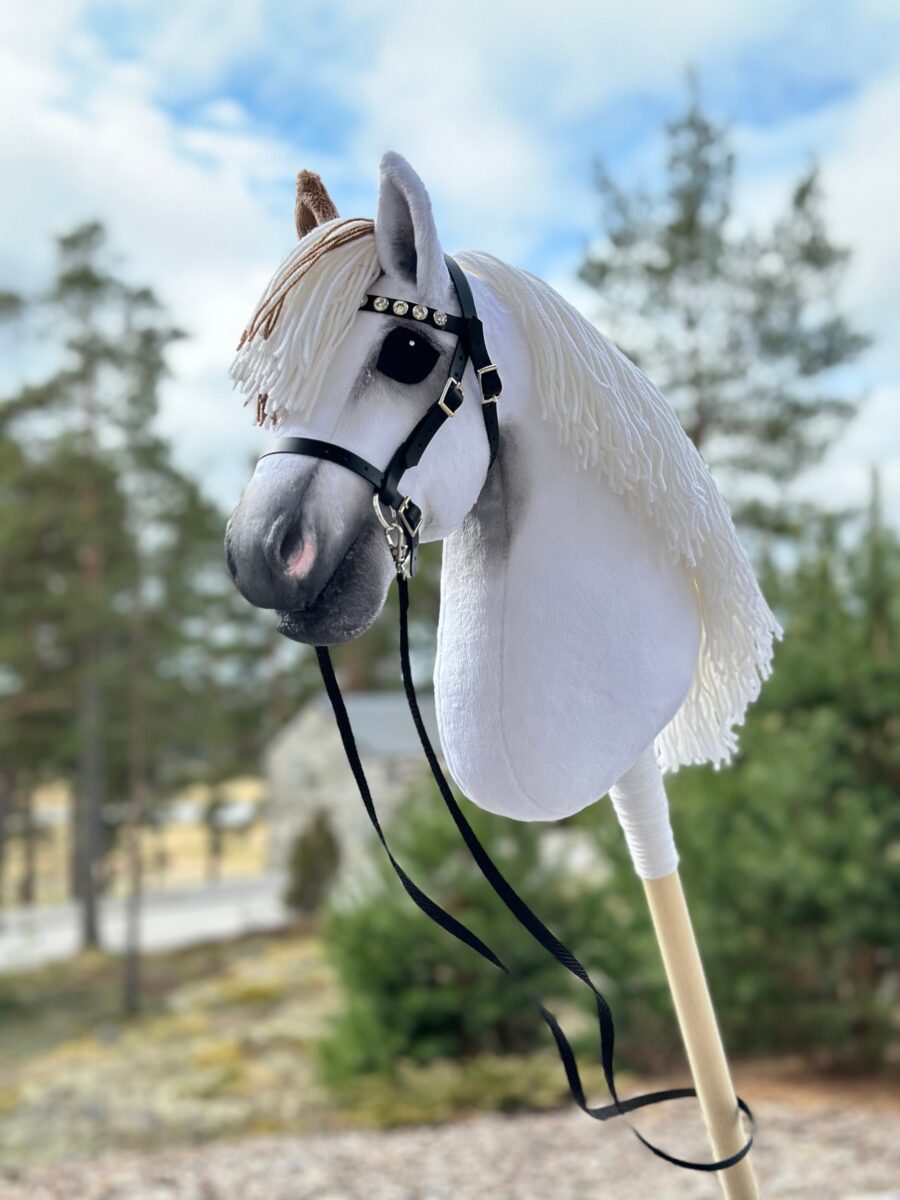 American Paint Hobby Horse With Medicine Hat Style - Image 2
