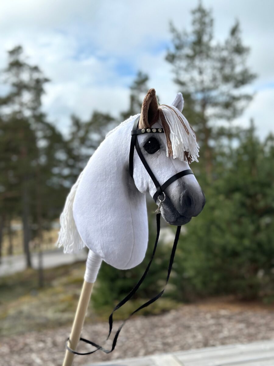 American Paint Hobby Horse With Medicine Hat Style - Image 4